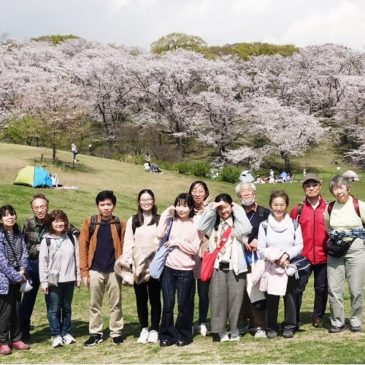 チューティーと根岸森林公園をウォーキング