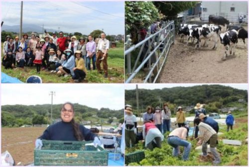 Ｆａｒｍ Ｖｉｓｉｔ　ジャガイモ掘りに挑戦！