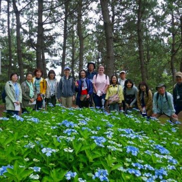 八景島ウォーキング　　潮の風と香りを楽しみながら