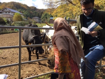 Farm visitで牧場見学やサツマイモ掘りなど楽しむ！